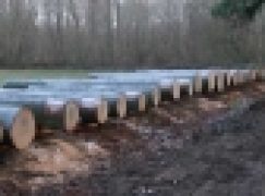 Submisje i aukcje – W Krotoszynie po raz 23.