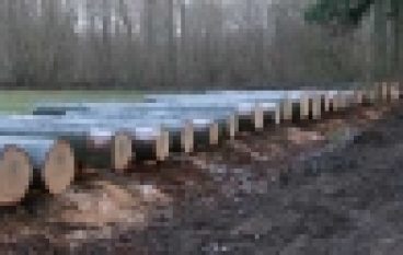 Submisje i aukcje – W Krotoszynie po raz 23.