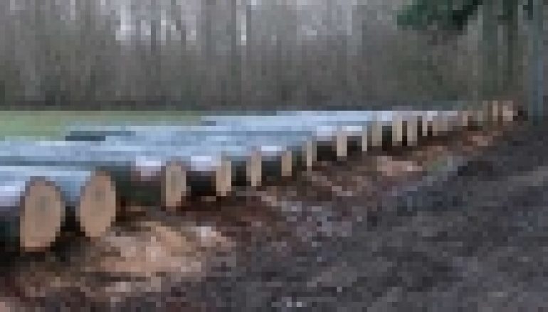 Submisje i aukcje – W Krotoszynie po raz 23.