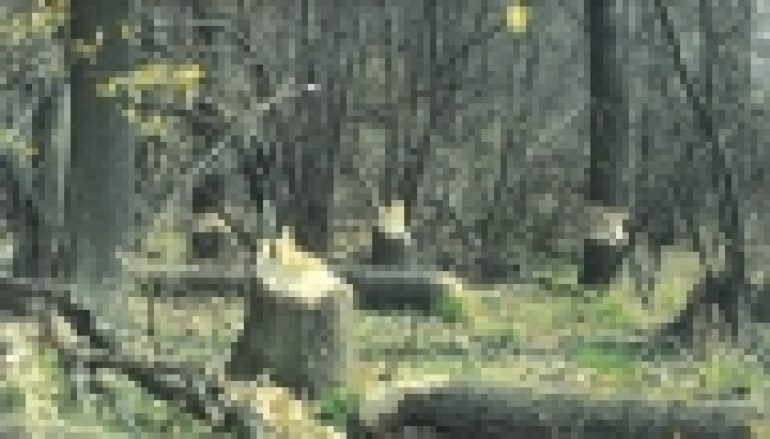 Ustawa o ochronie przyrody – Siedliska naturowe chronione wszędzie