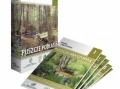 Puszcze Podlasia. Komplet 20 map