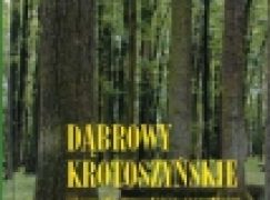 Dąbrowy Krotoszyńskie