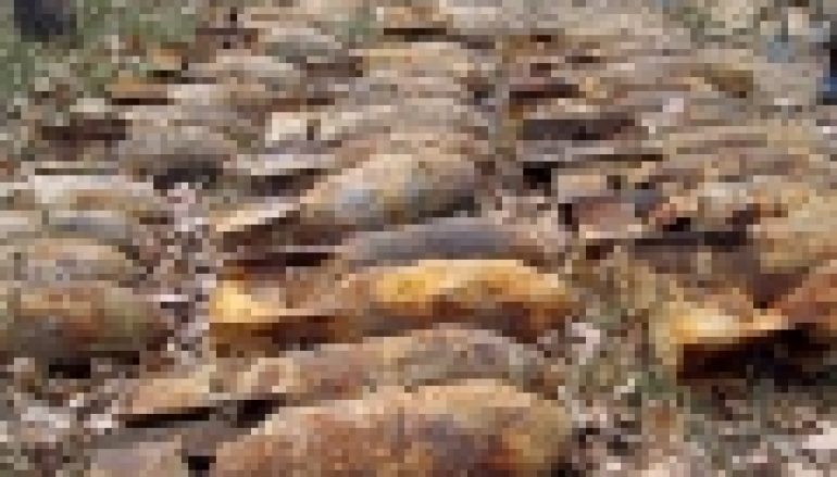 Akcja „Detektor” – Rozbrajanie Puszczy Sandomierskiej