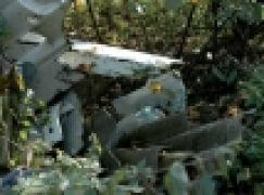 Ustawa śmieciowa w lasach – komentarz