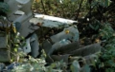 Ustawa śmieciowa w lasach – komentarz