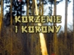 Korzenie i korony. Leśny przyczynek do 35. rocznicy wprowadzenia stanu wojennego