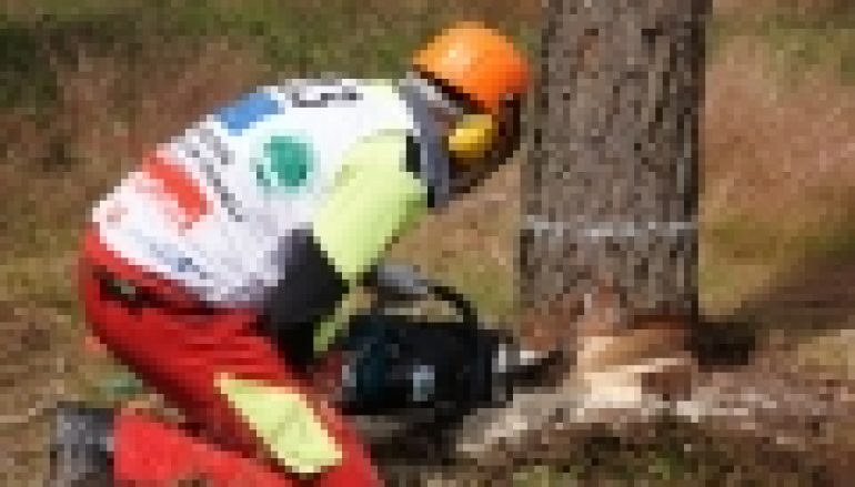 Europejskie Mistrzostwa Drwali Tuchola 2013 – Zacięta rywalizacja