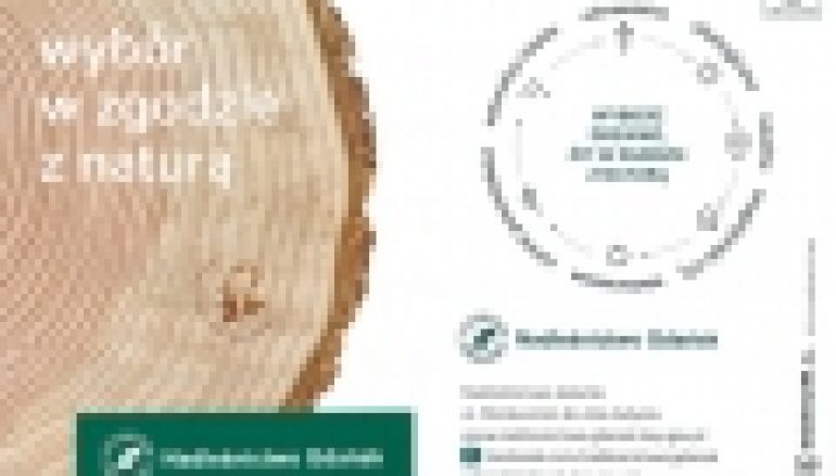 Nadleśnictwo Gdańsk – Ulotka o zaletach  drewna