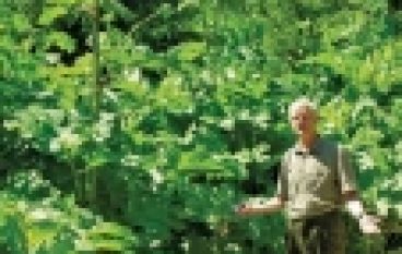 Walczą z barszczem (nr 12/2014)