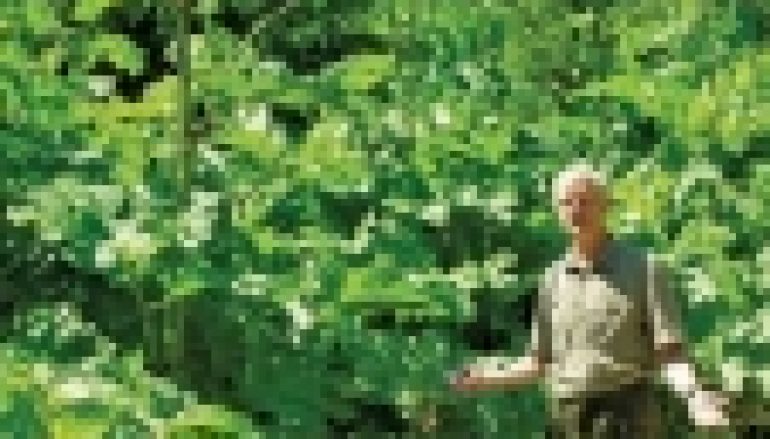 Walczą z barszczem (nr 12/2014)