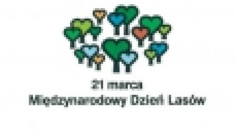 Międzynarodowy Dzień Lasów – O polskich lasach w Genewie