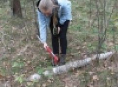 Przewróciło się? Niech leży (nr 8/2014)