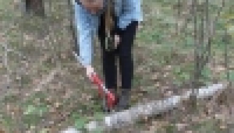 Przewróciło się? Niech leży (nr 8/2014)