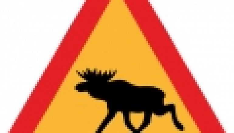 Moratorium na łosia – Minister się wycofał?