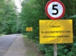 Dziki i ASF – Większa pomoc za ubiegłoroczne szkody