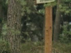 Ustawa o ochronie przyrody – Zadbają o parki narodowe