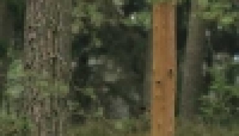 Ustawa o ochronie przyrody – Zadbają o parki narodowe