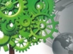 Sektor leśno-drzewny w zielonej gospodarce