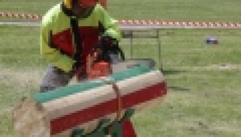 IV Zawody Drwali Studentów Leśnictwa