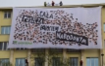 Puszcza Białowieska – Greenpeace znów na gmachu Ministerstwa Środowiska