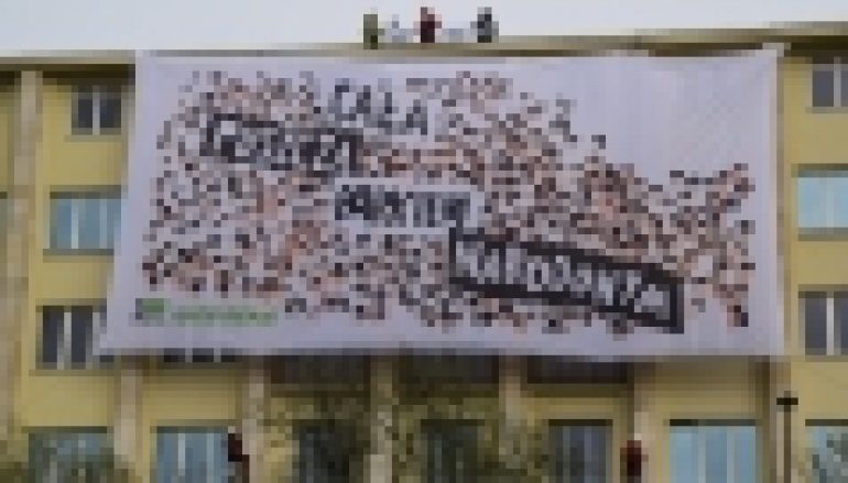 Puszcza Białowieska – Greenpeace znów na gmachu Ministerstwa Środowiska