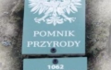 Pomnikowe rozterki (11/2019)