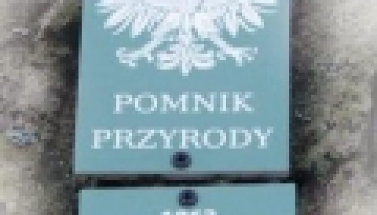 Pomnikowe rozterki (11/2019)