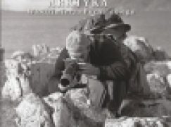 Arktyka Włodzimierza Puchalskiego