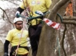 Mistrzostwa Polski we Wspinaczce Drzewnej – Wysiłek nie tylko fizyczny