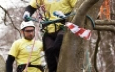 Mistrzostwa Polski we Wspinaczce Drzewnej – Wysiłek nie tylko fizyczny