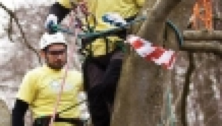 Mistrzostwa Polski we Wspinaczce Drzewnej – Wysiłek nie tylko fizyczny