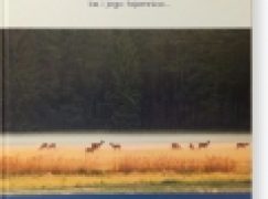 Niezwykłość. Las i jego tajemnice w świetle Biblii