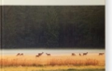 Niezwykłość. Las i jego tajemnice w świetle Biblii