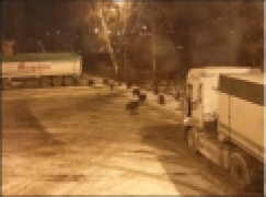 Gdańsk – Miejski myśliwy