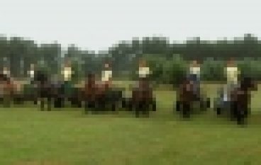 Zrywka konna w Barlinku