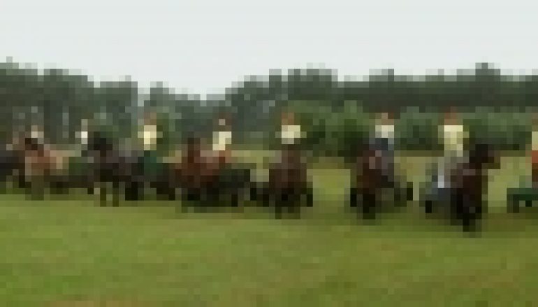 Zrywka konna w Barlinku