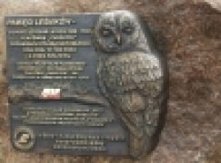 Nadleśnictwo Jarocin – „Puszczyk” AK