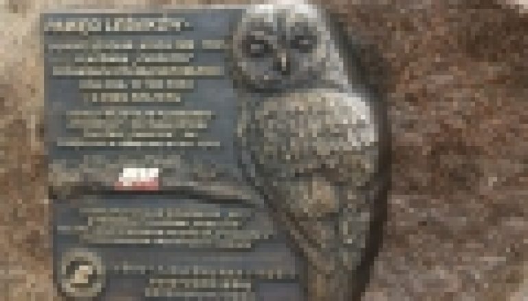 Nadleśnictwo Jarocin – „Puszczyk” AK