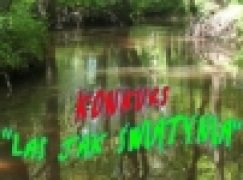 „Las jak świątynia” – konkurs i wydawnictwo