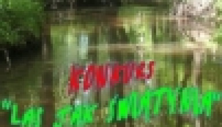 „Las jak świątynia” – konkurs i wydawnictwo