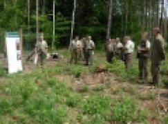 Sesja PTL  – Odnowienia po huraganie