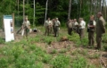 Sesja PTL  – Odnowienia po huraganie