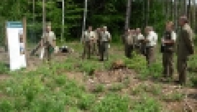 Sesja PTL  – Odnowienia po huraganie