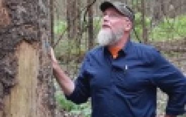 Wizyta w Puszczy Białowieskiej (18/2018)