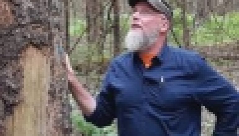 Wizyta w Puszczy Białowieskiej (18/2018)