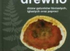 Skamieniałe drewno drzew gatunków liściastych, iglastych oraz paproci. Okazy  z Polski i ze świata