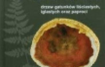 Skamieniałe drewno drzew gatunków liściastych, iglastych oraz paproci. Okazy  z Polski i ze świata