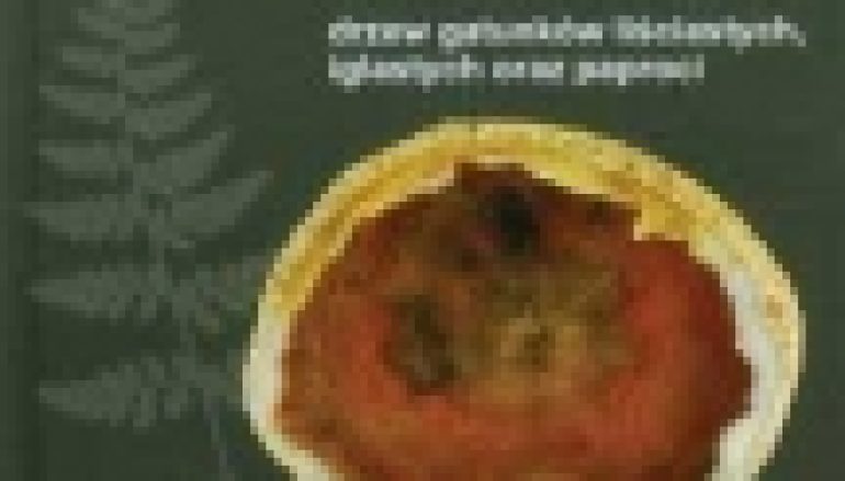 Skamieniałe drewno drzew gatunków liściastych, iglastych oraz paproci. Okazy  z Polski i ze świata