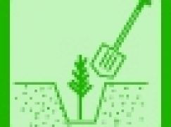 Inicjatywy społeczne – #sadziMY z Prezydentem!