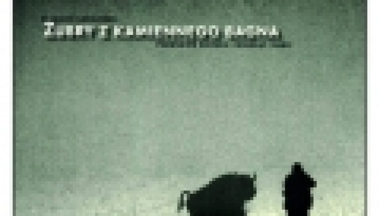 Żubry z Kamiennego Bagna